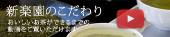 新楽園のこだわり おいしいお茶ができるまでの動画をご覧いただけます 煎りたてのお茶毎月2名様プレゼント!